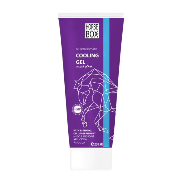 GEL REFROIDISSANT 250 ML